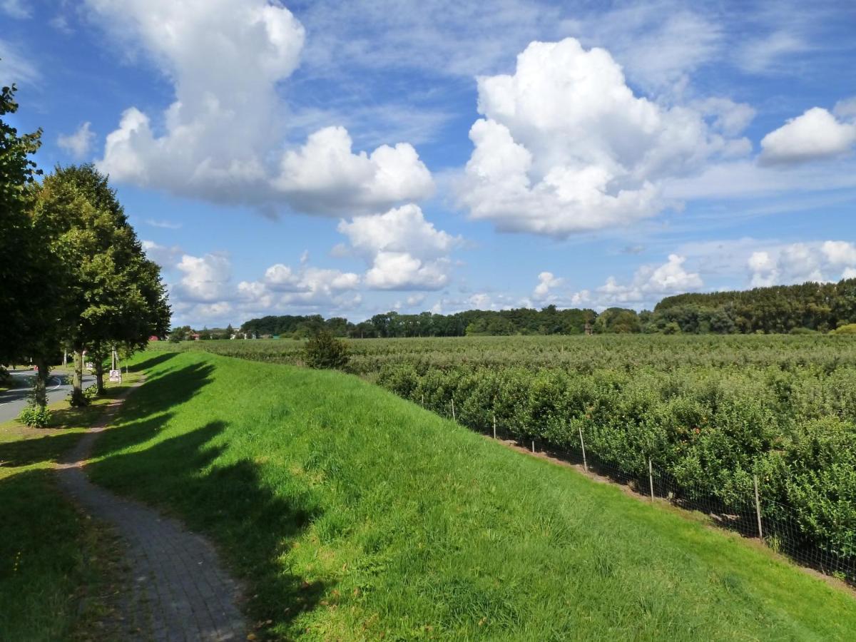 Fewo Im Alten Land 汉堡 外观 照片